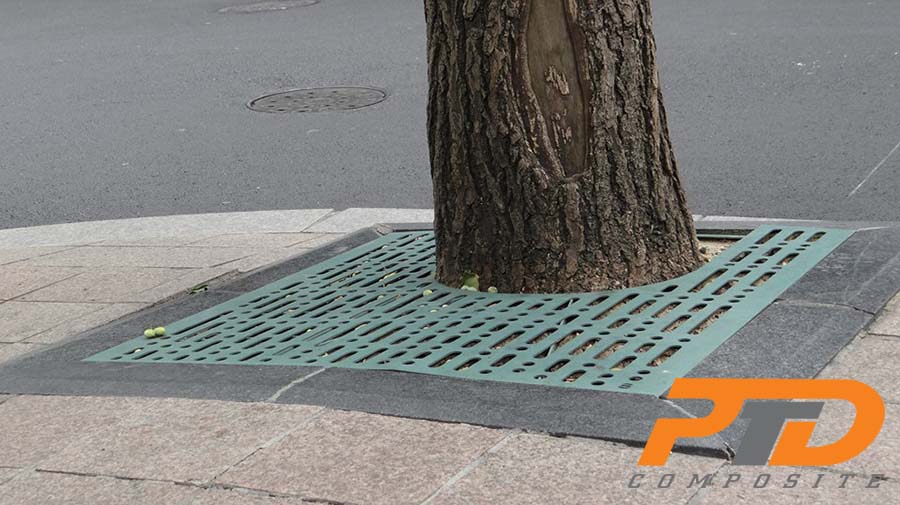 10271482 10203656427195461 1603048024481905747 n