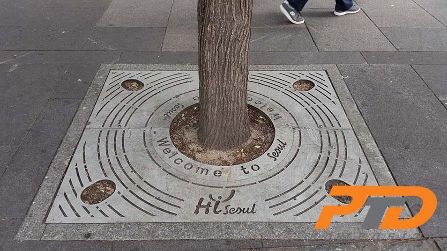 10649589 10202809823554032 8956913611135390722 n